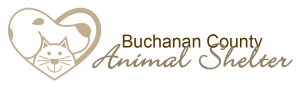 buco-animal-shelter